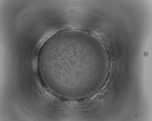 X0000092000194200709061446