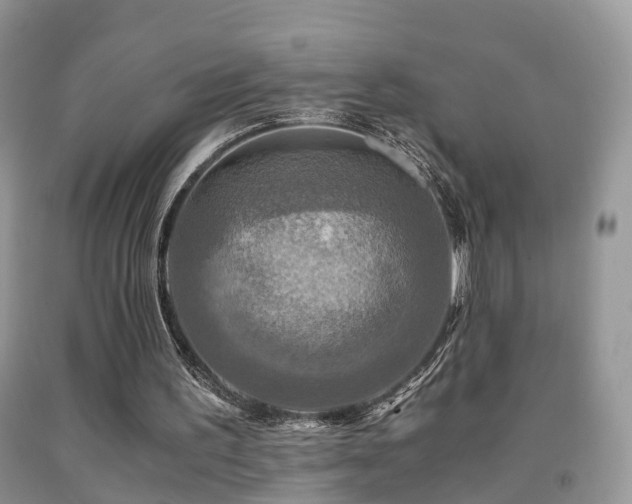 X0000092000195200709061446