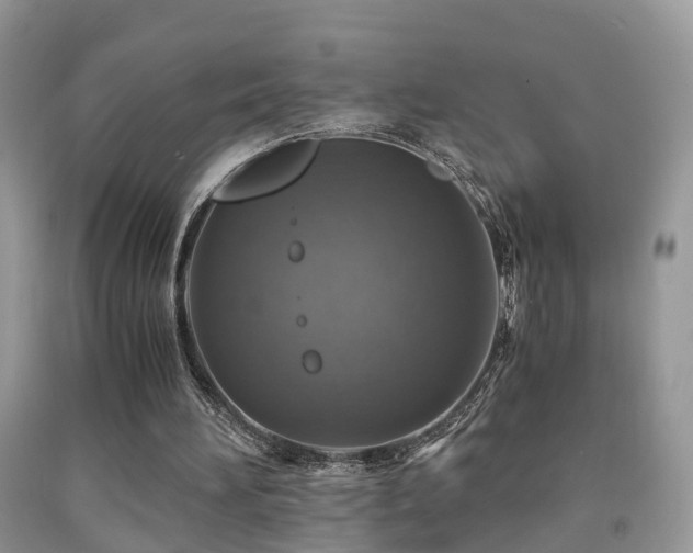 X0000092000196200709061446