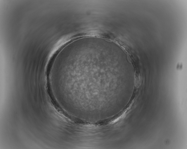 X0000092000198200709061446