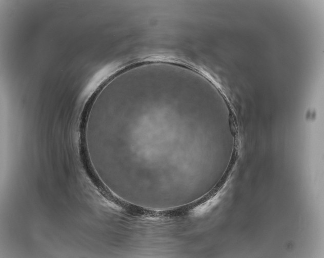 X0000092000199200709061446