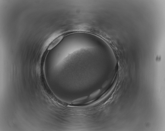 X0000092000200200709061446