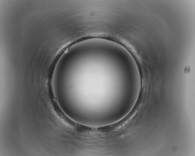 X0000092000201200709061446