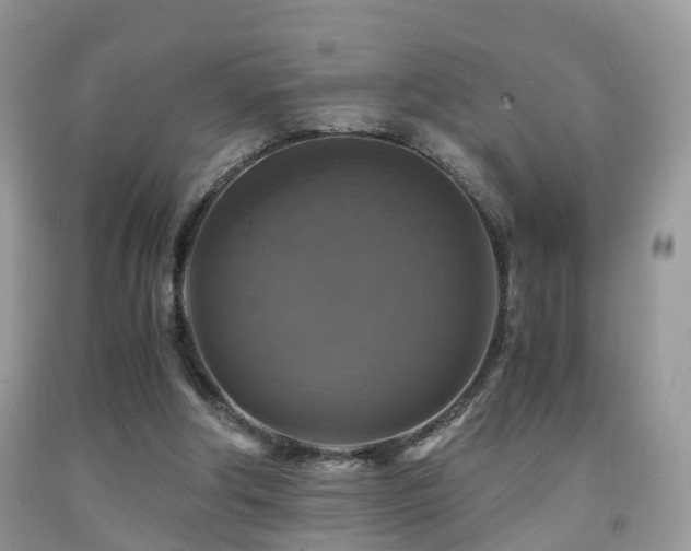 X0000092000202200709061446