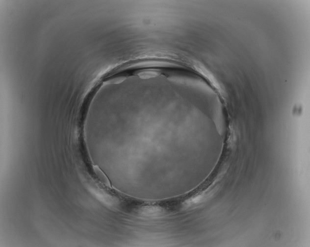 X0000092000203200709061446