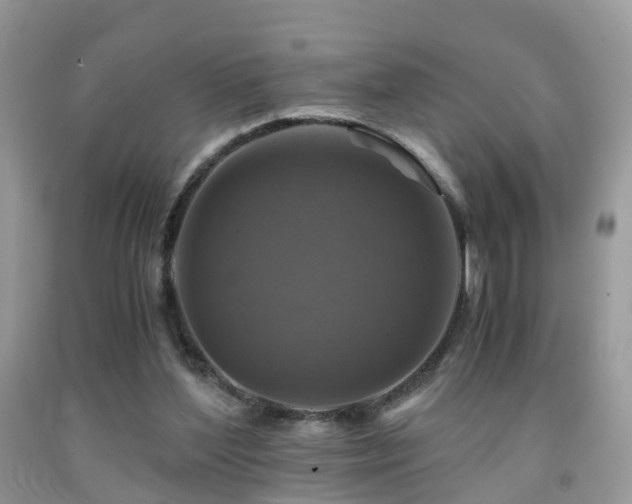 X0000092000204200709061446