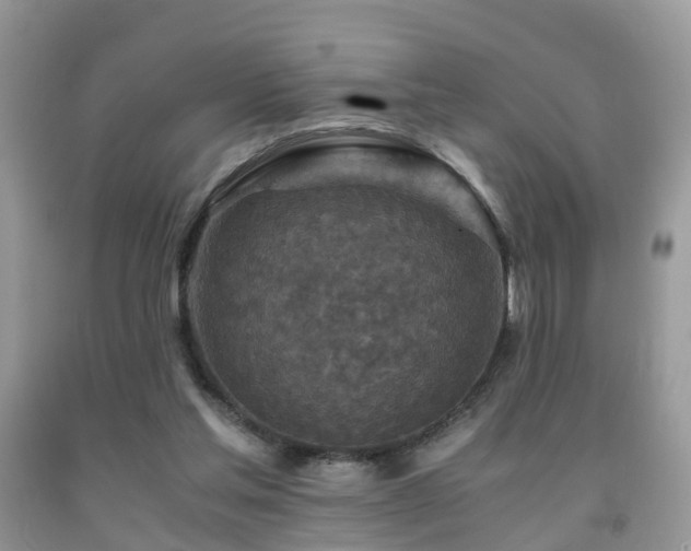 X0000092000205200709061446