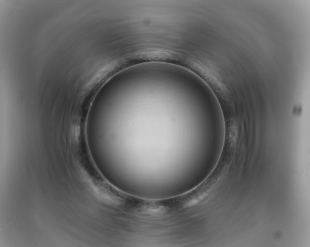 X0000092000206200709061446