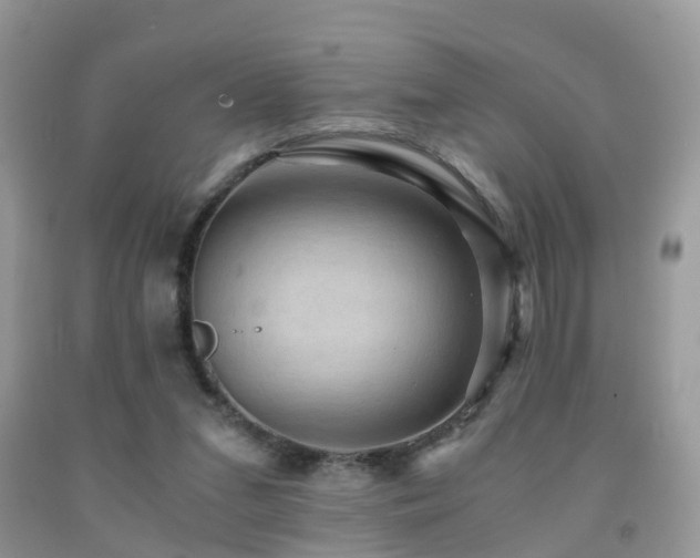 X0000092000207200709061446