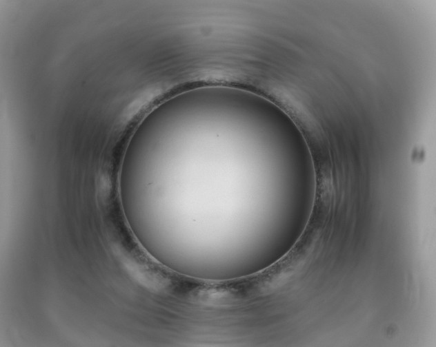 X0000092000208200709061446