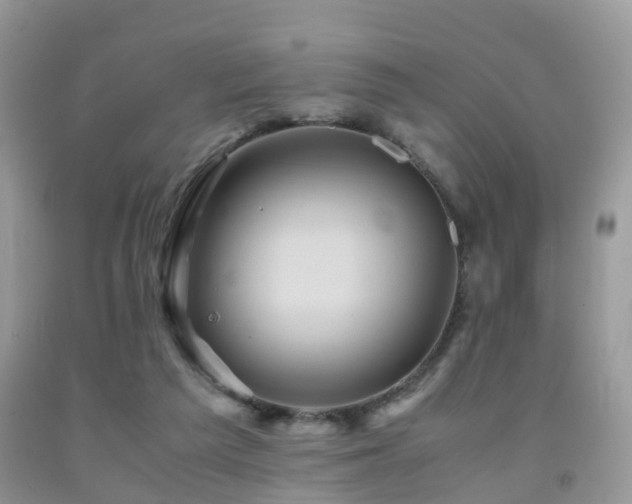 X0000092000209200709061446