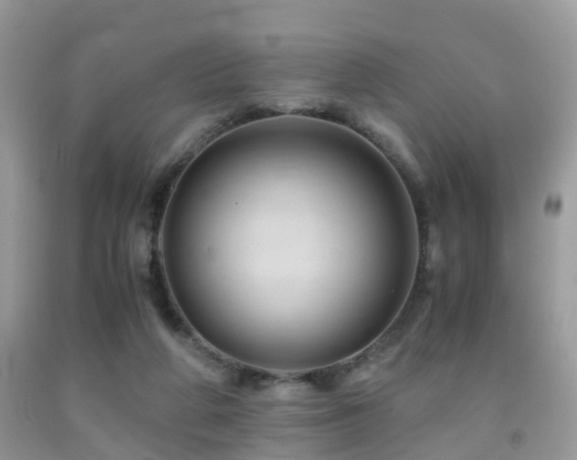 X0000092000210200709061446