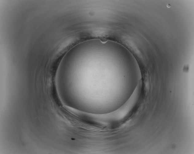 X0000092000211200709061446