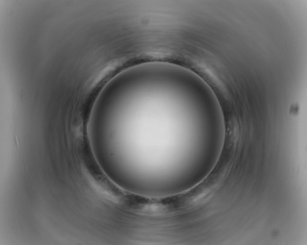 X0000092000212200709061446