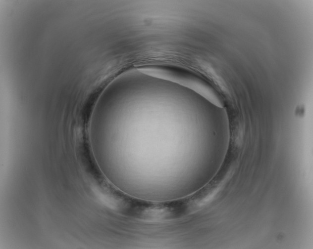 X0000092000213200709061446