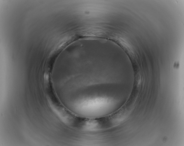 X0000092000214200709061446