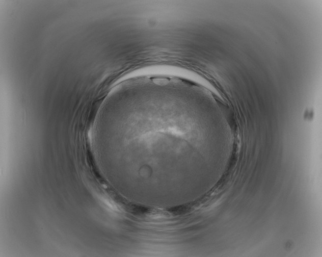 X0000092000215200709061446