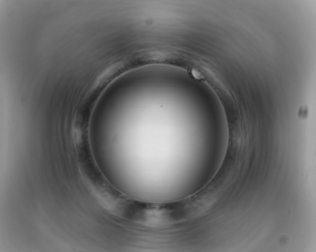 X0000092000216200709061446