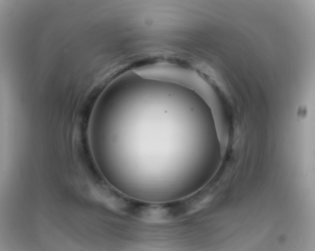 X0000092000217200709061446