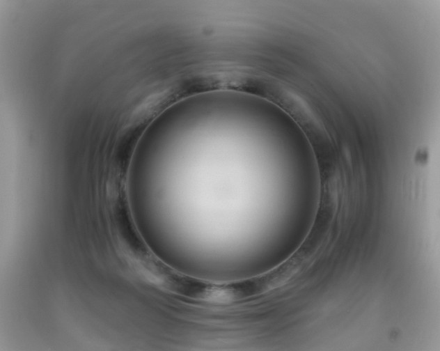 X0000092000218200709061446