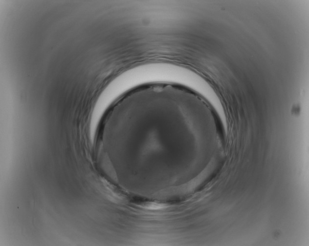 X0000092000219200709061446