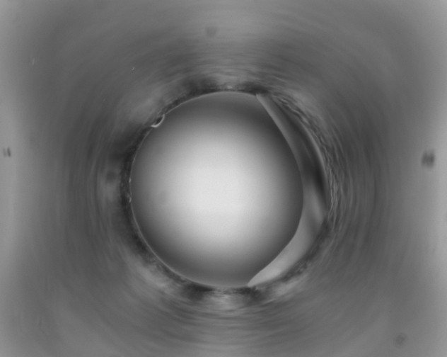 X0000092000221200709061446