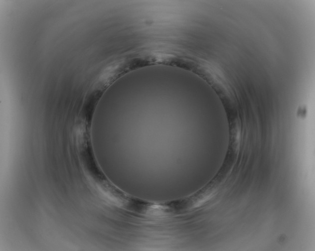 X0000092000222200709061446