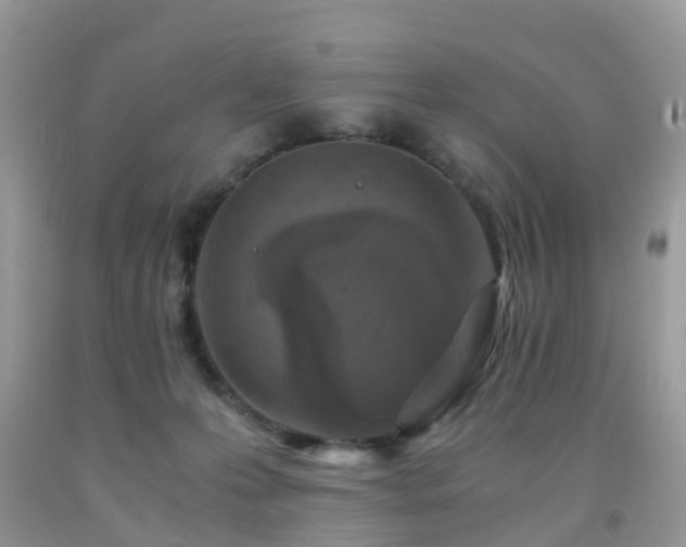 X0000092000223200709061446