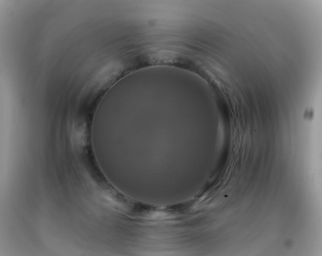 X0000092000224200709061446