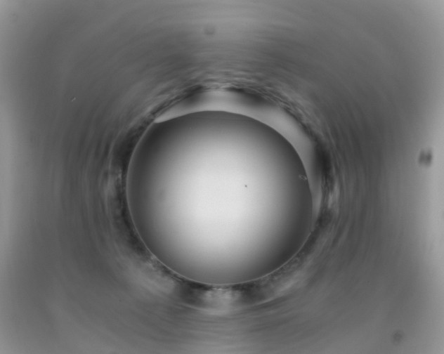 X0000092000225200709061446