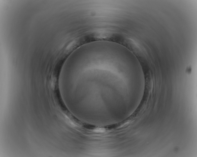 X0000092000227200709061446