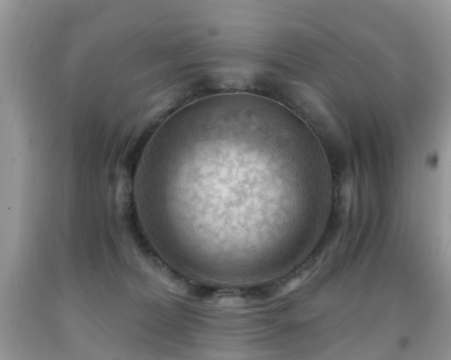 X0000092000228200709061446