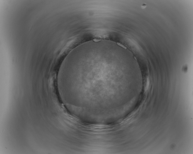 X0000092000229200709061446