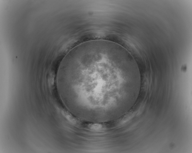 X0000092000230200709061446