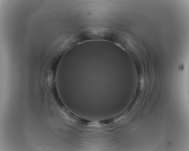 X0000092000231200709061446