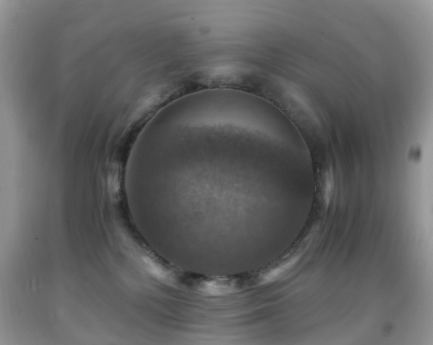 X0000092000232200709061446