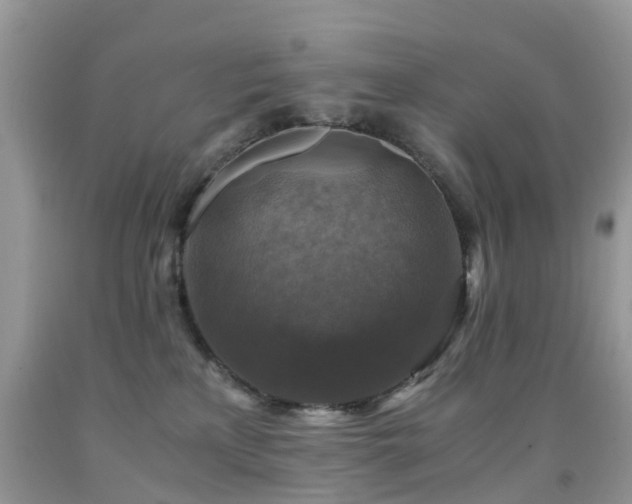 X0000092000233200709061446