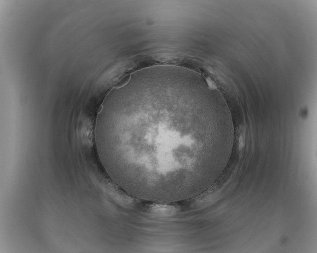 X0000092000234200709061446