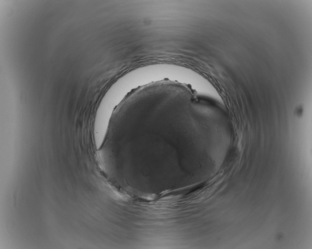 X0000092000235200709061445