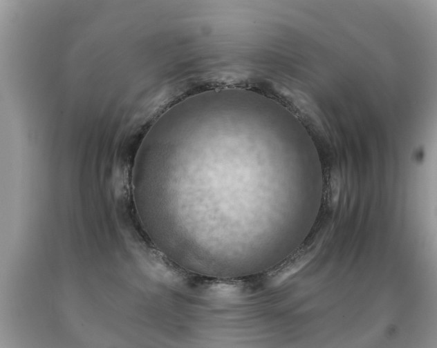 X0000092000236200709061445