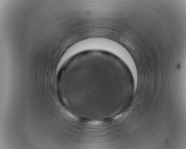 X0000092000237200709061445