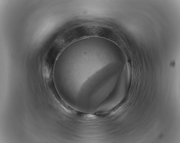 X0000092000239200709061445