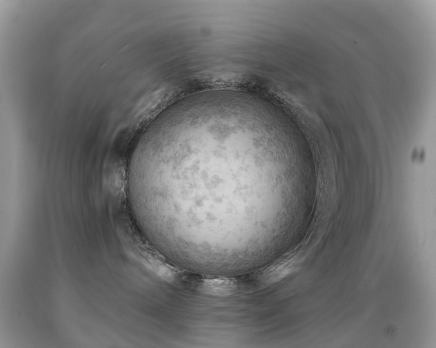 X0000092000240200709061445