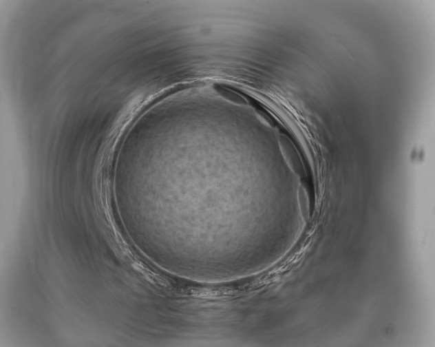 X0000092000241200709061445