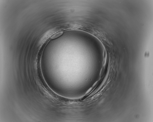 X0000092000242200709061445