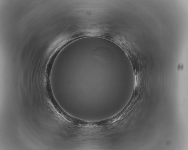 X0000092000243200709061445