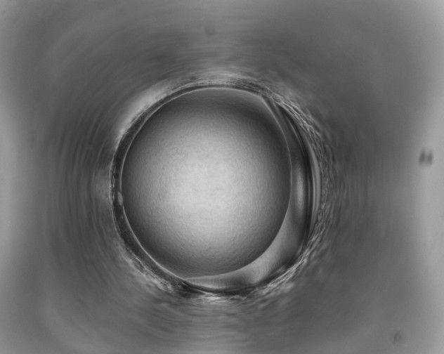 X0000092000244200709061445