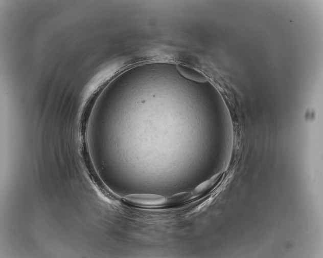 X0000092000245200709061445