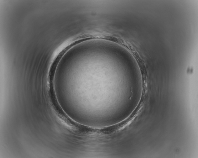 X0000092000246200709061445