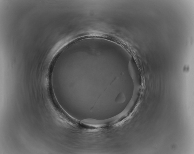 X0000092000247200709061445